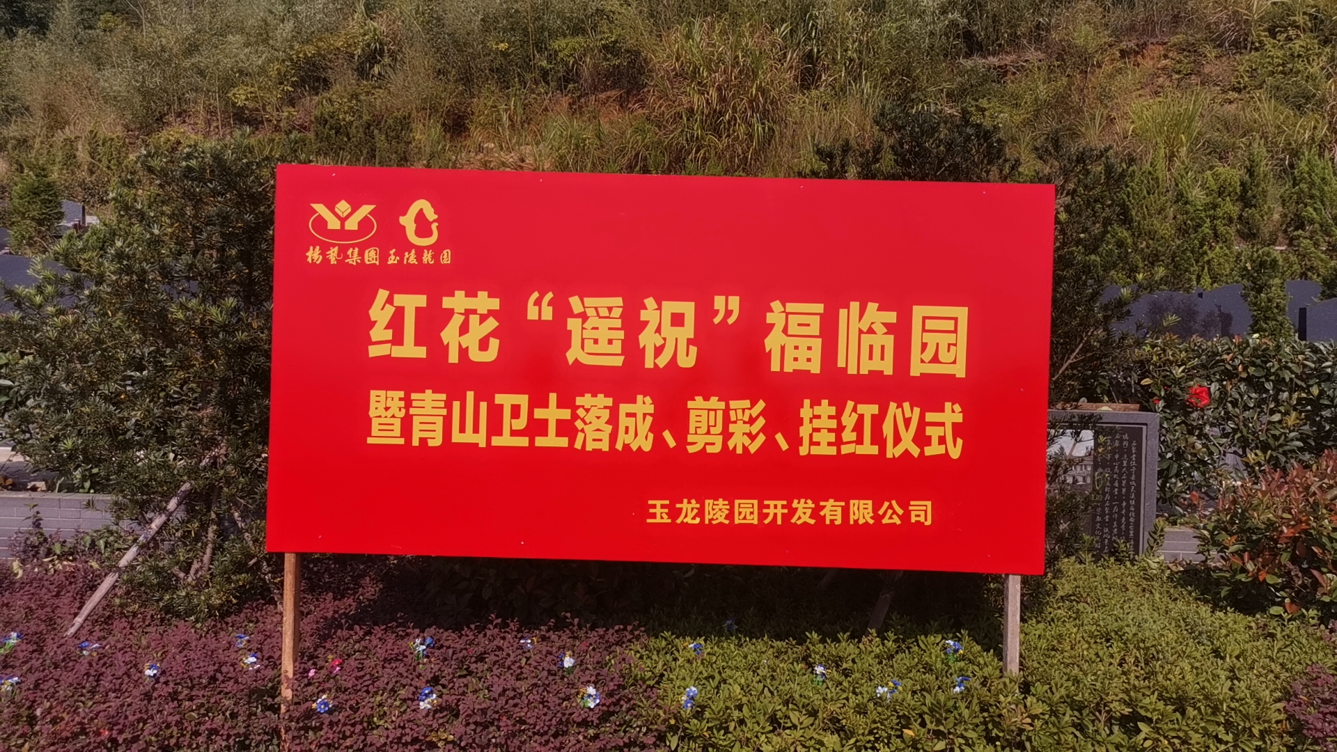 红花传爱意，，，，，，情满玉龙园！