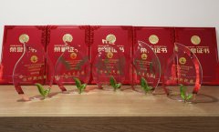 “腾博会官网杯”浙江省节地生态埋葬设计作品奖