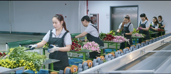 腾博会官网·专业效劳,诚信为本