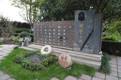致敬“平安卫士”，铭记“刑警之魂”