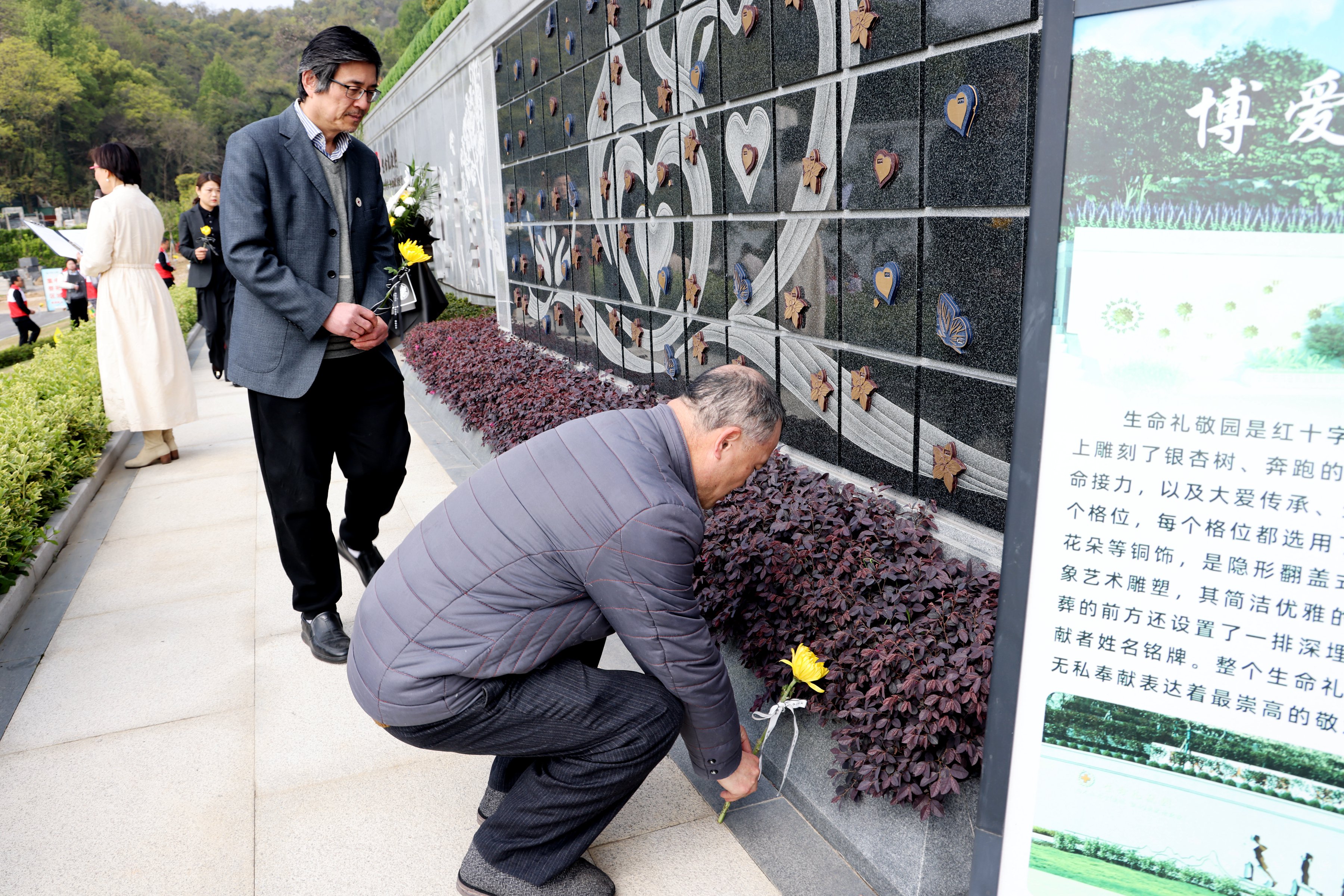 腾博会官网·专业效劳,诚信为本