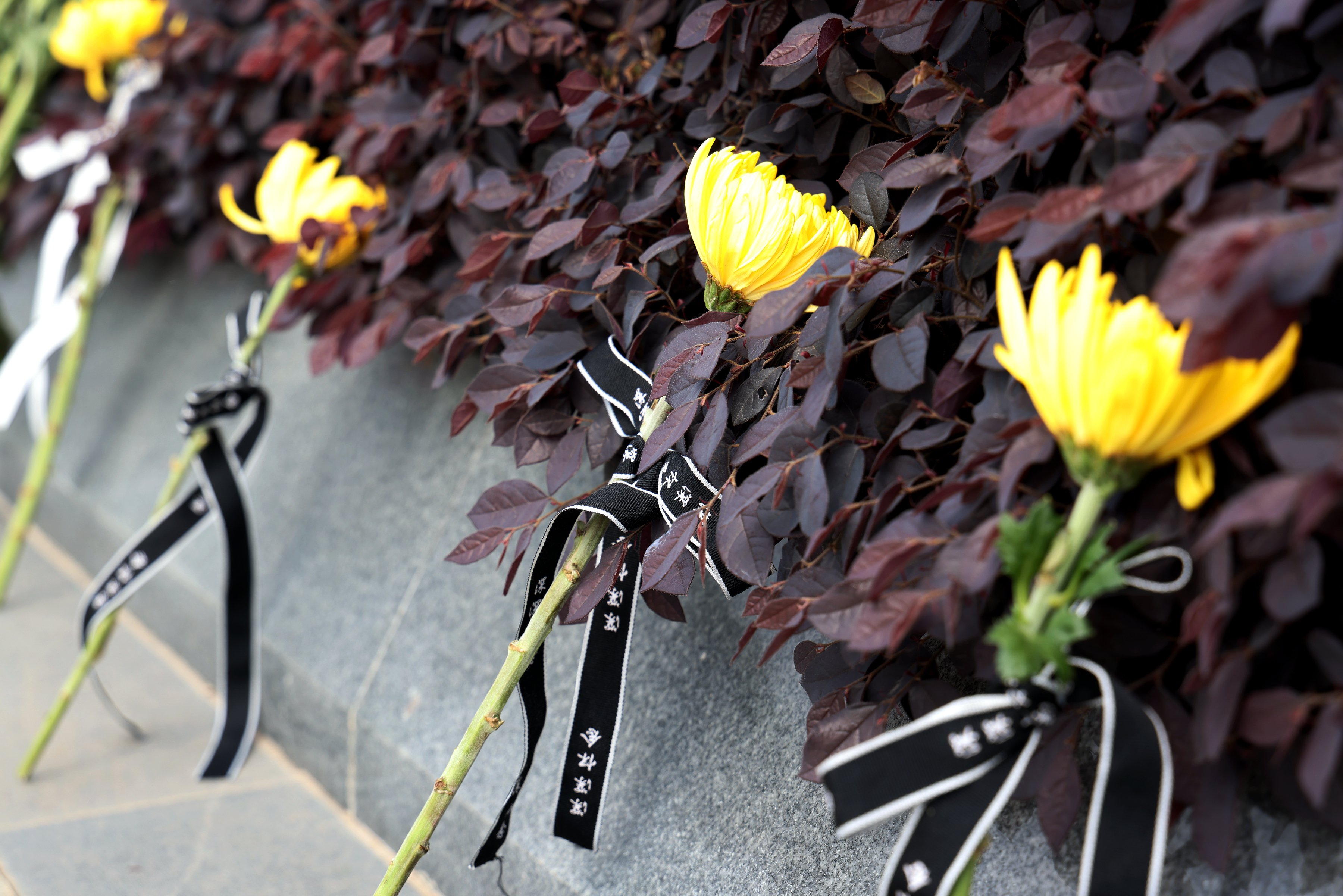 腾博会官网·专业效劳,诚信为本