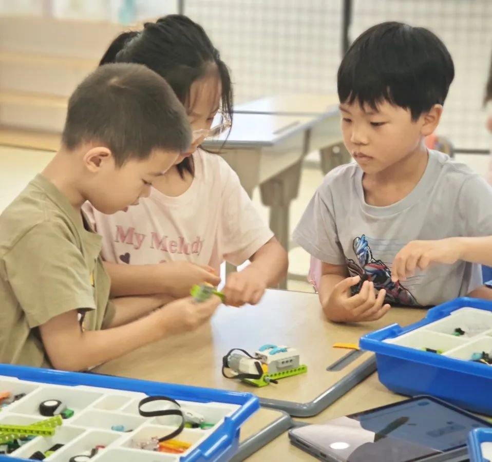 腾博会官网·专业效劳,诚信为本