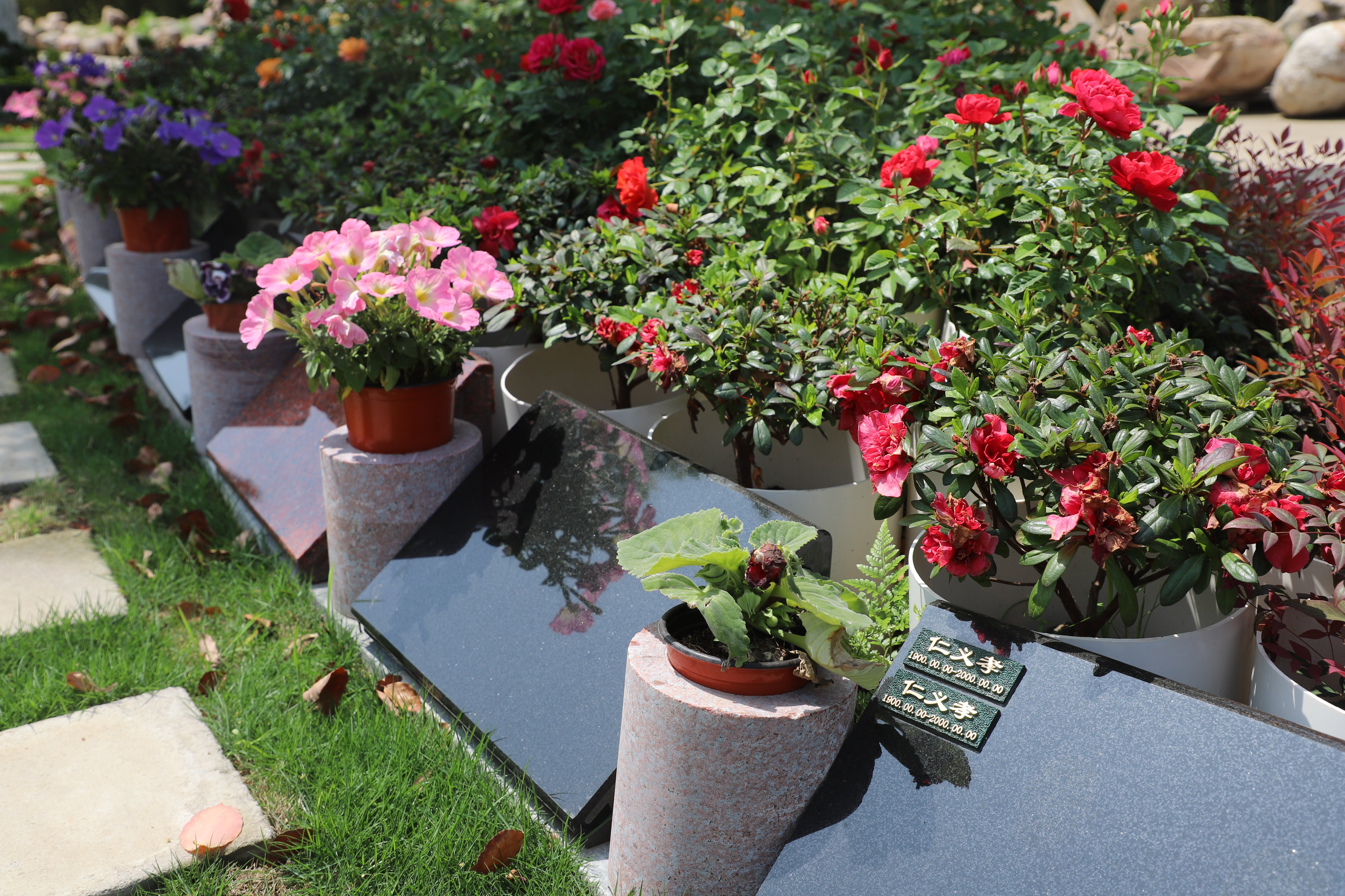 腾博会官网·专业效劳,诚信为本