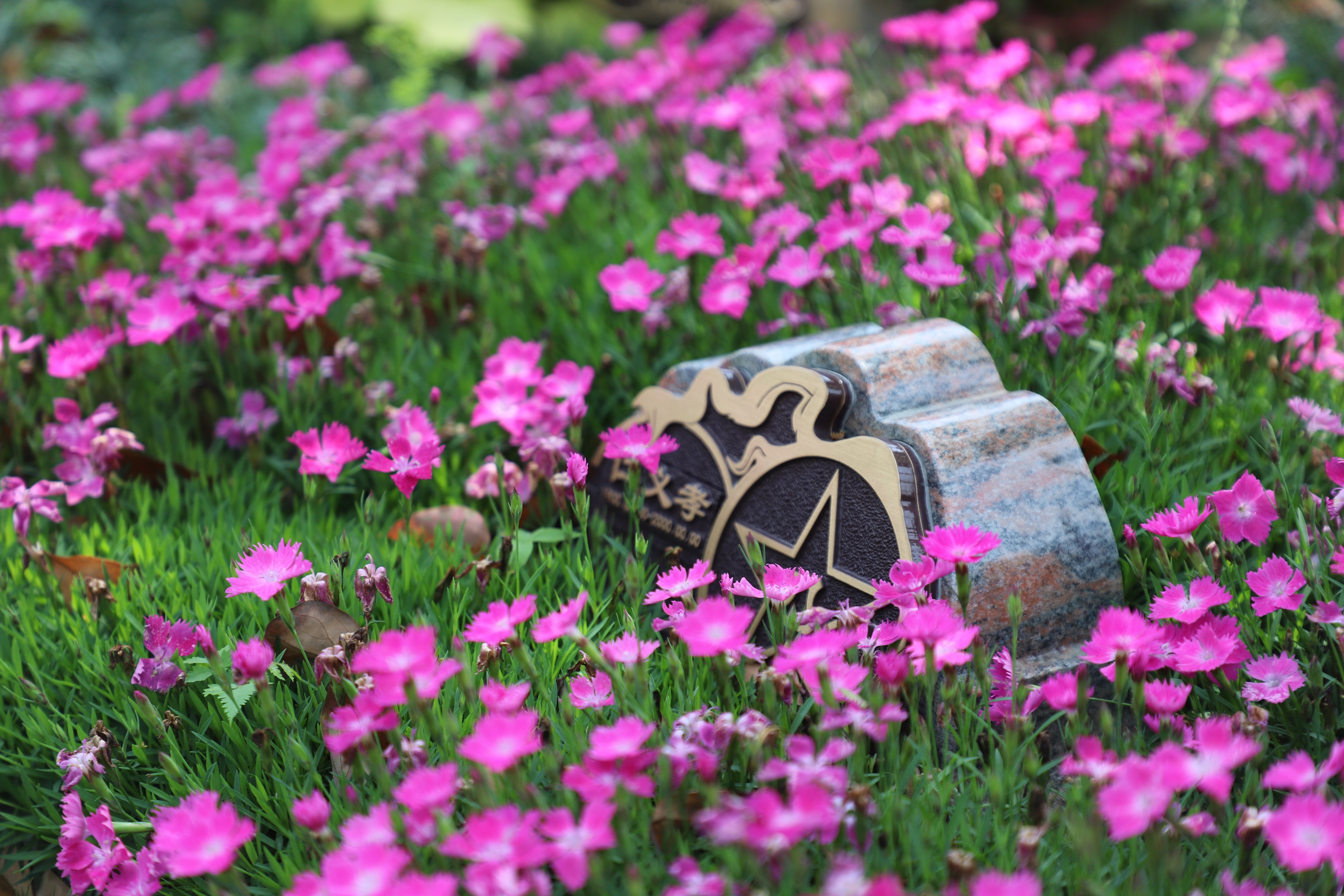 腾博会官网·专业效劳,诚信为本