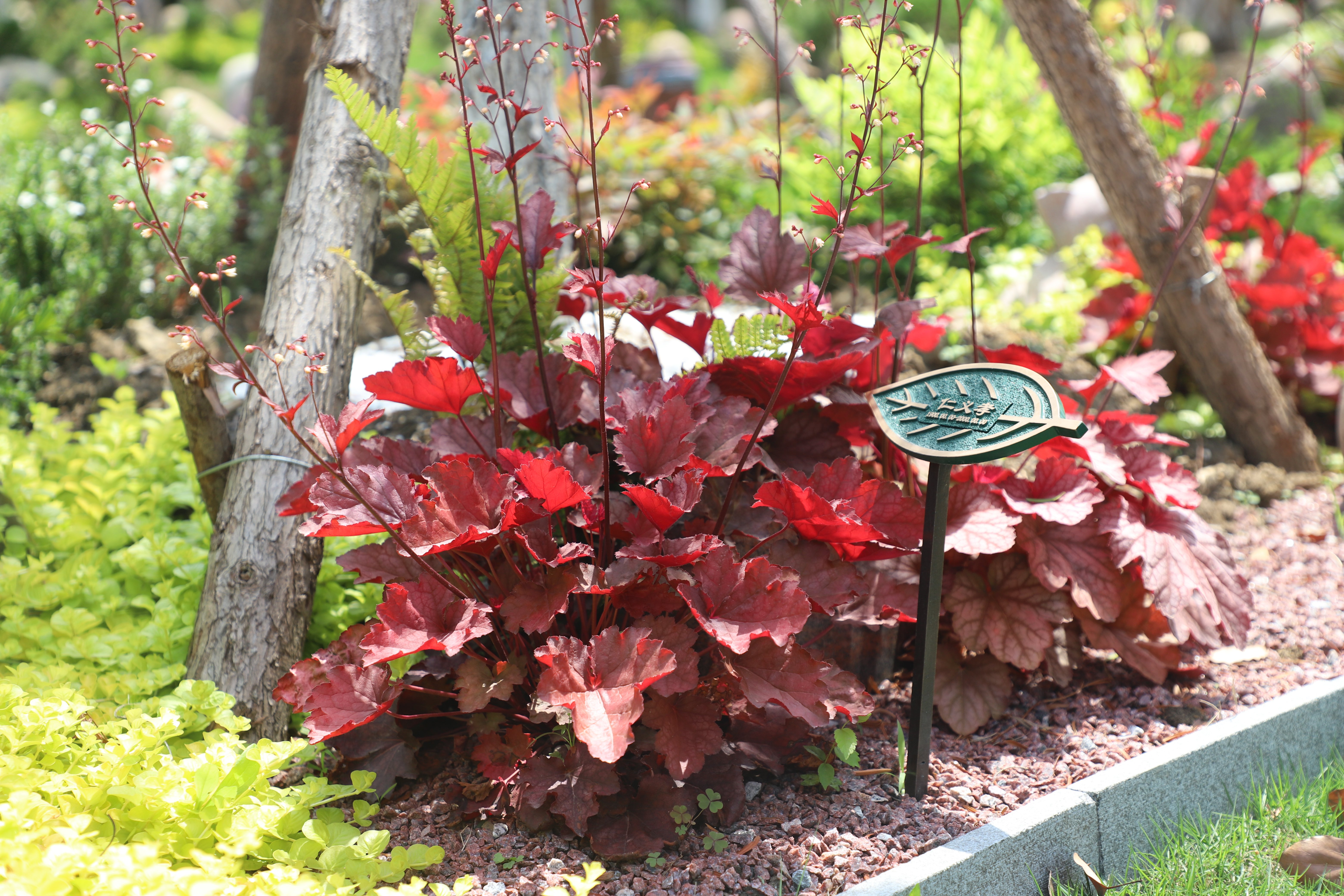 腾博会官网·专业效劳,诚信为本