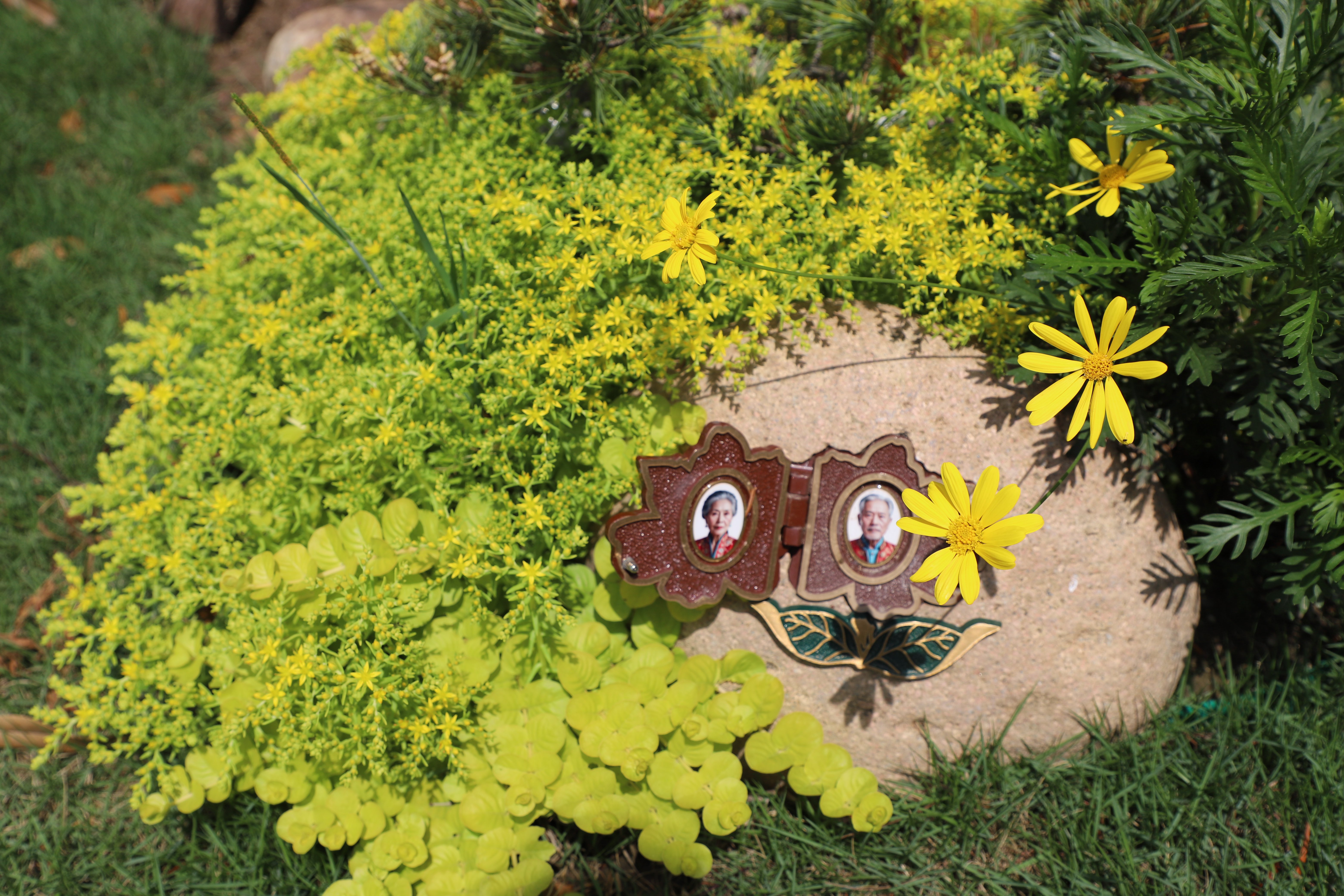 腾博会官网·专业效劳,诚信为本