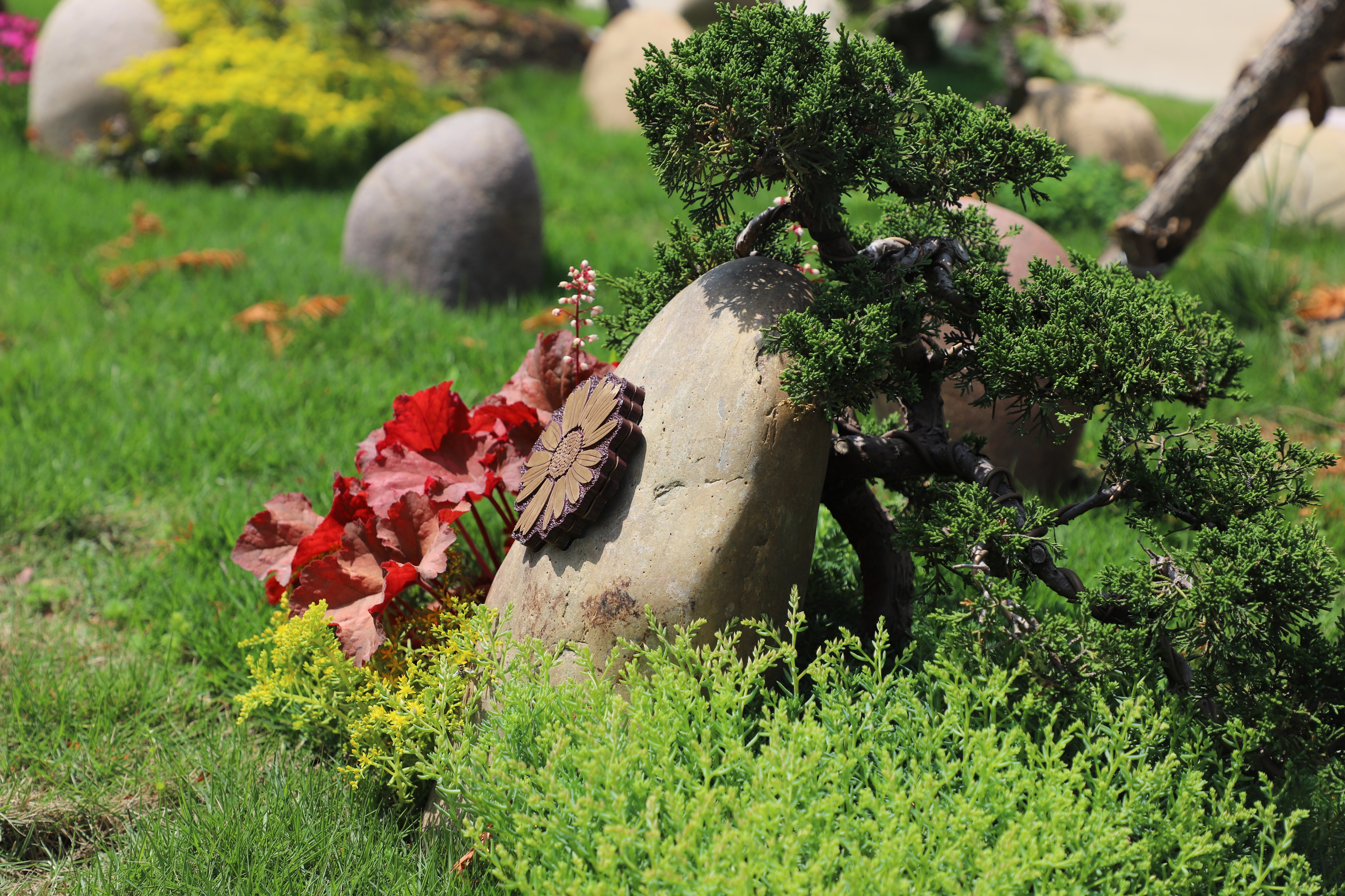 腾博会官网·专业效劳,诚信为本