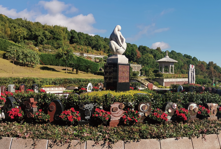 腾博会官网·专业效劳,诚信为本