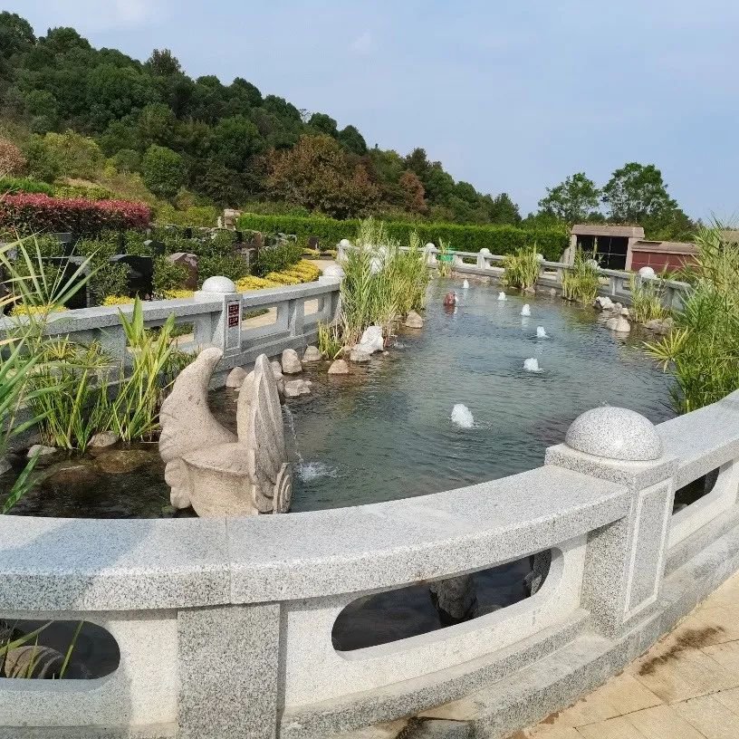 腾博会官网·专业效劳,诚信为本