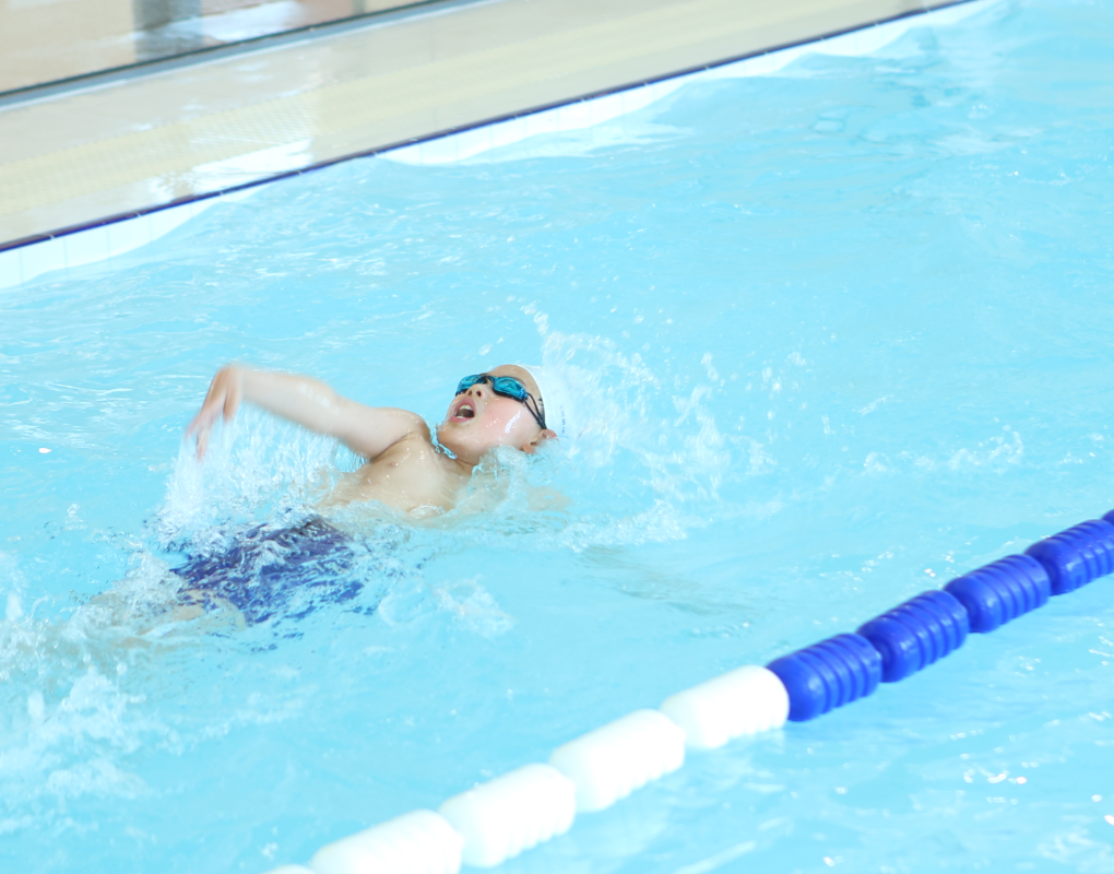 腾博会官网·专业效劳,诚信为本