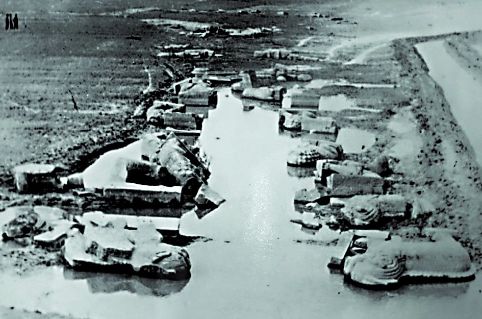 腾博会官网·专业效劳,诚信为本