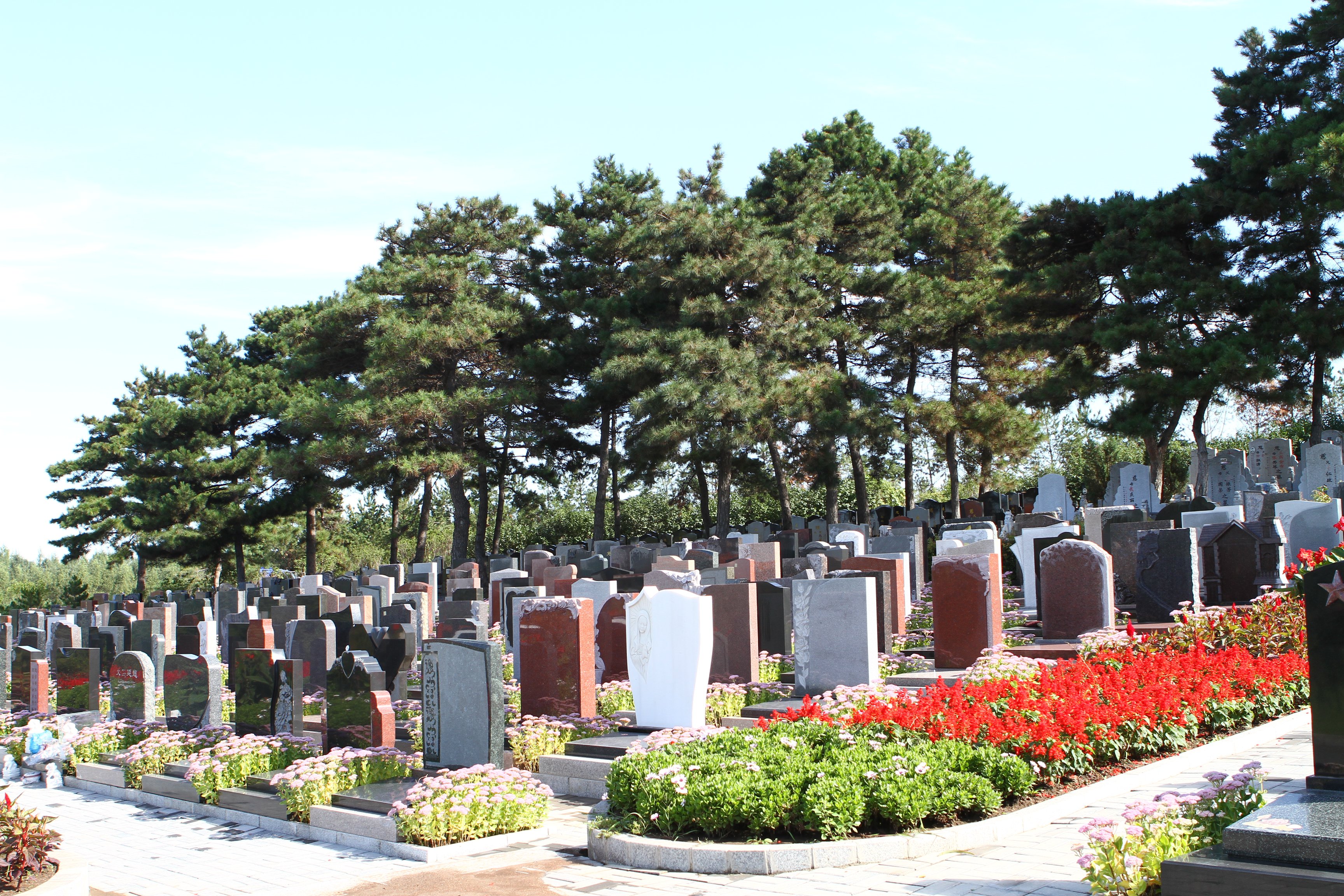 腾博会官网·专业效劳,诚信为本