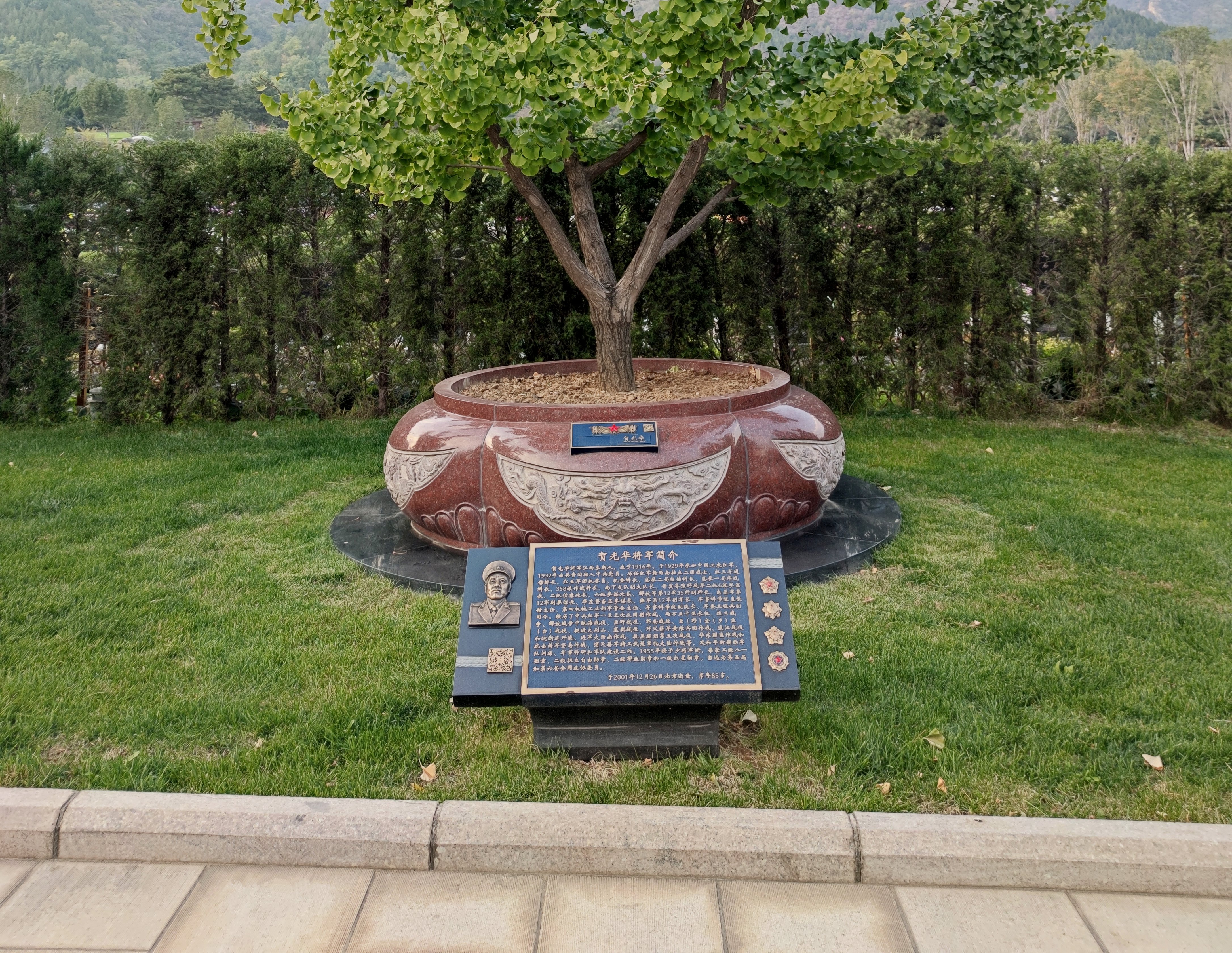 腾博会官网铜艺，，，，，，，，让影象有形，，，，，，，，让传承有光