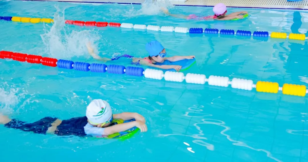 腾博会官网·专业效劳,诚信为本