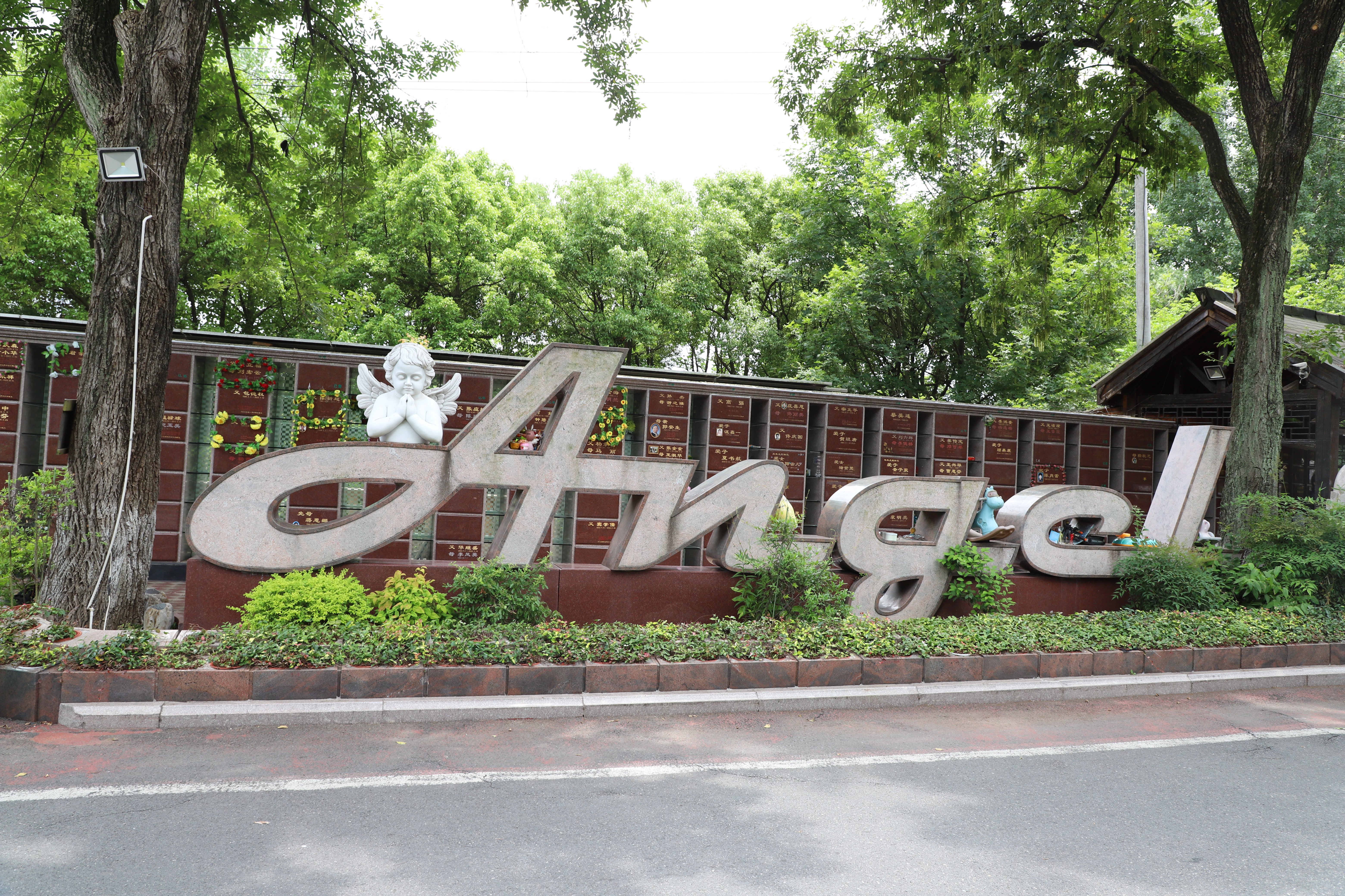 腾博会官网·专业效劳,诚信为本