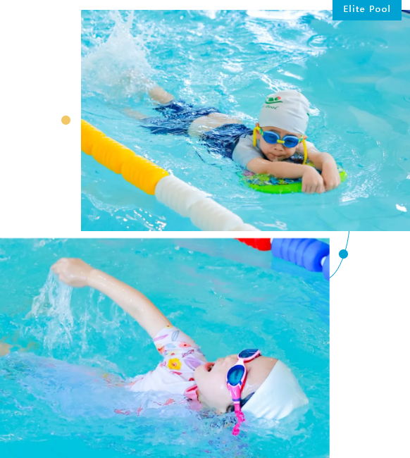 腾博会官网·专业效劳,诚信为本