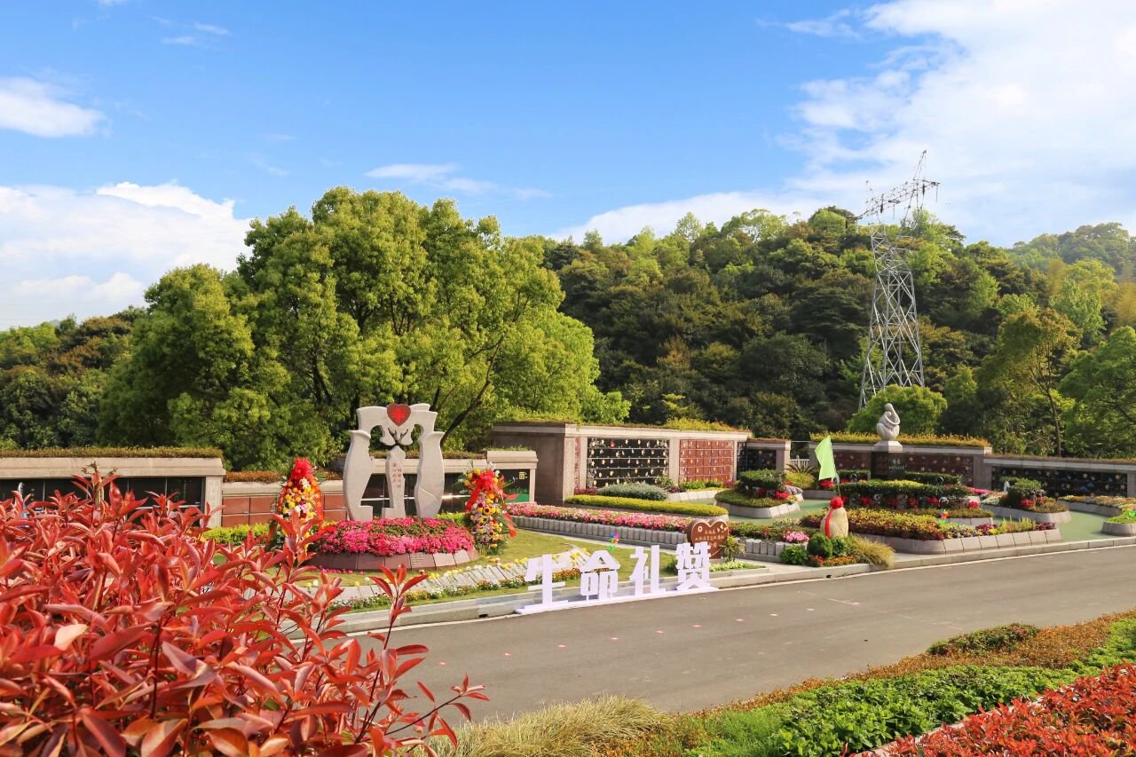 腾博会官网·专业效劳,诚信为本