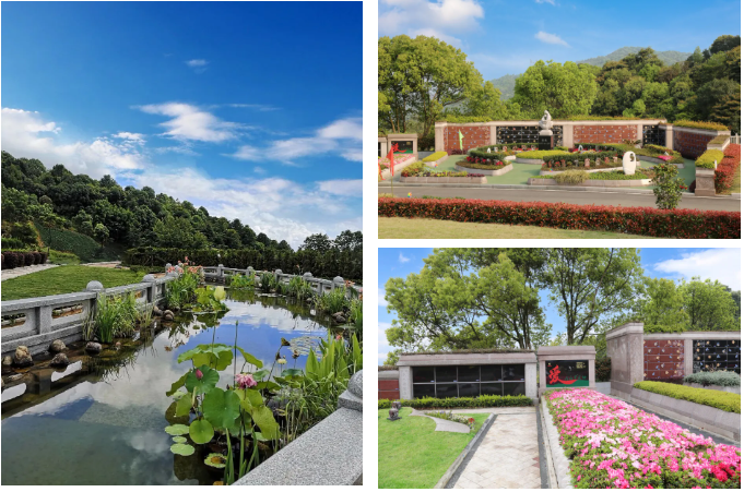 腾博会官网·专业效劳,诚信为本