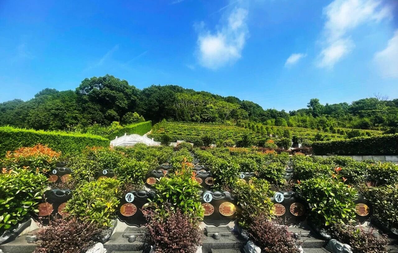 腾博会官网·专业效劳,诚信为本