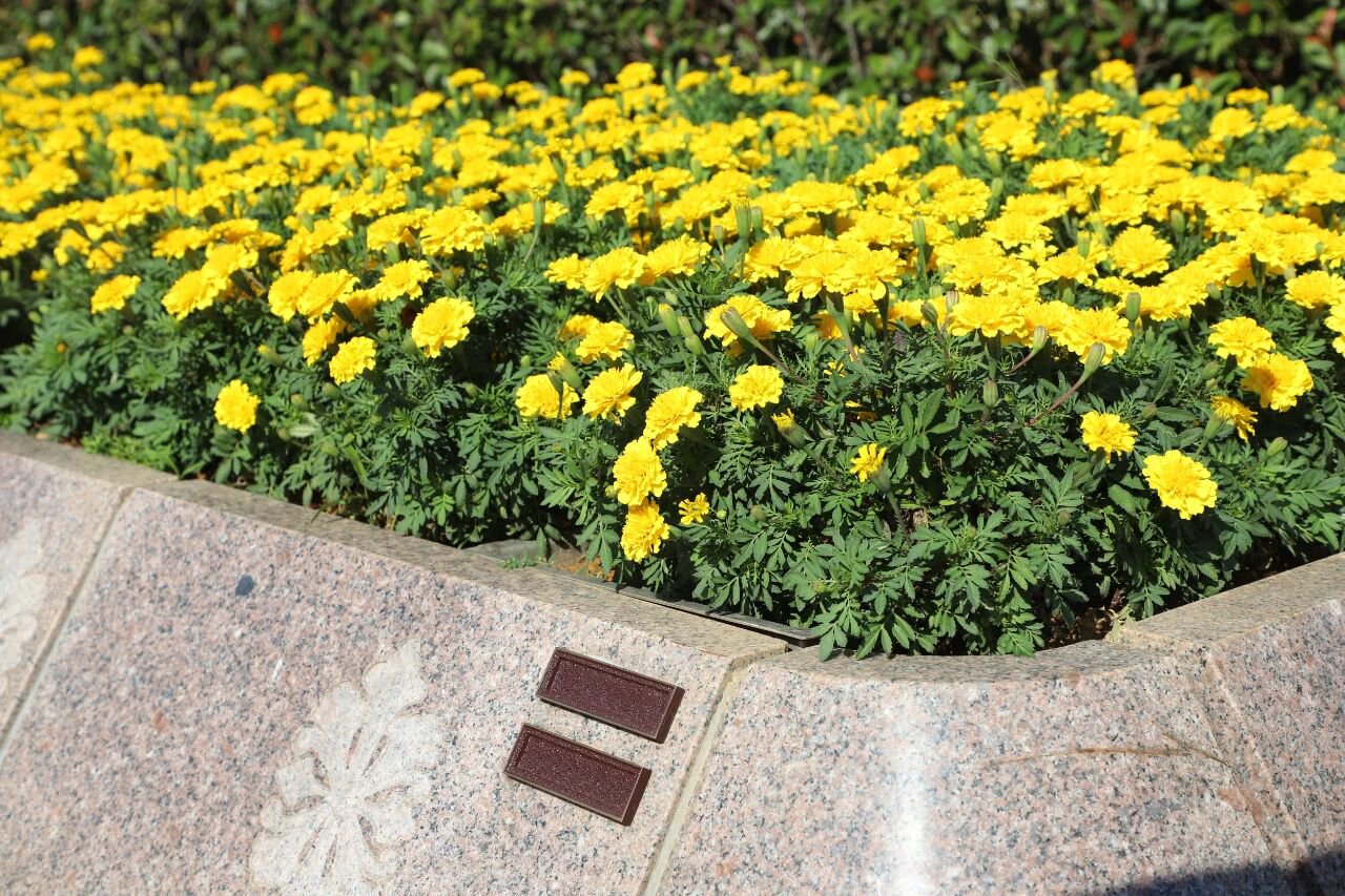 腾博会官网·专业效劳,诚信为本