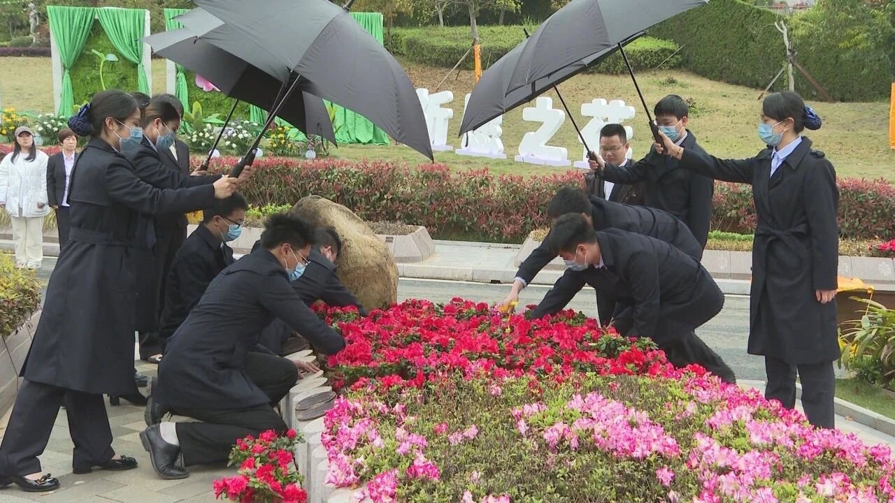 腾博会官网·专业效劳,诚信为本