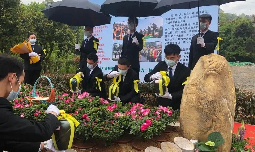 腾博会官网·专业效劳,诚信为本