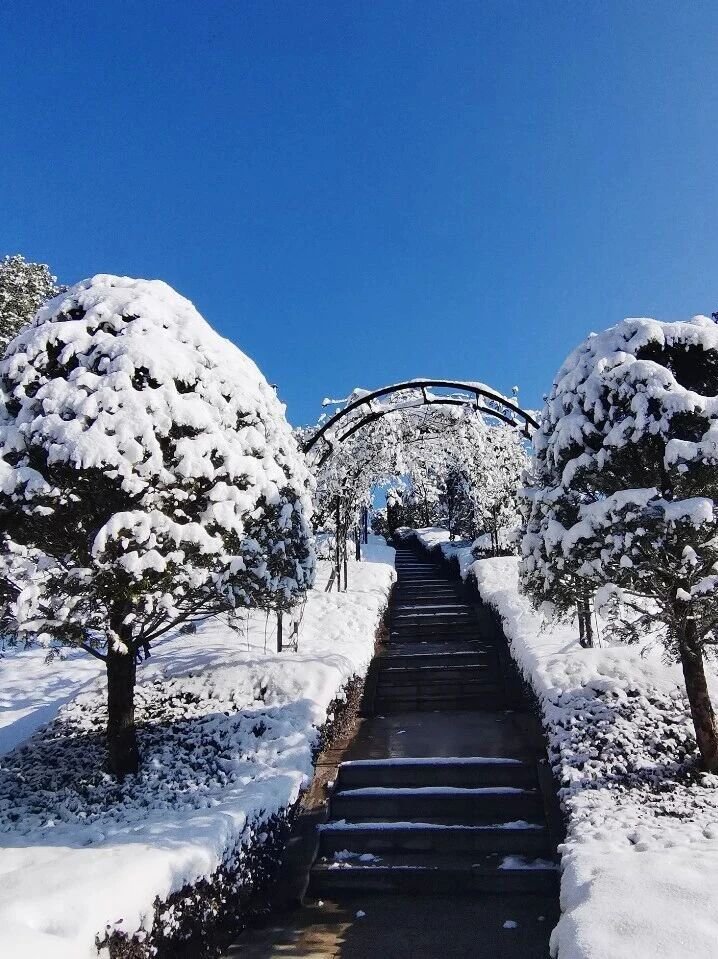 腾博会官网·专业效劳,诚信为本