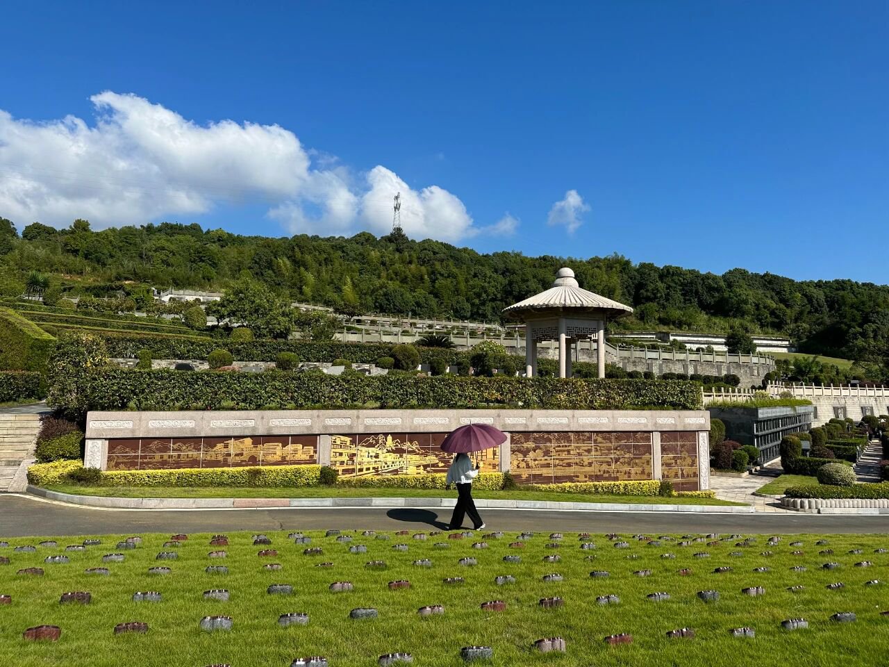 腾博会官网·专业效劳,诚信为本