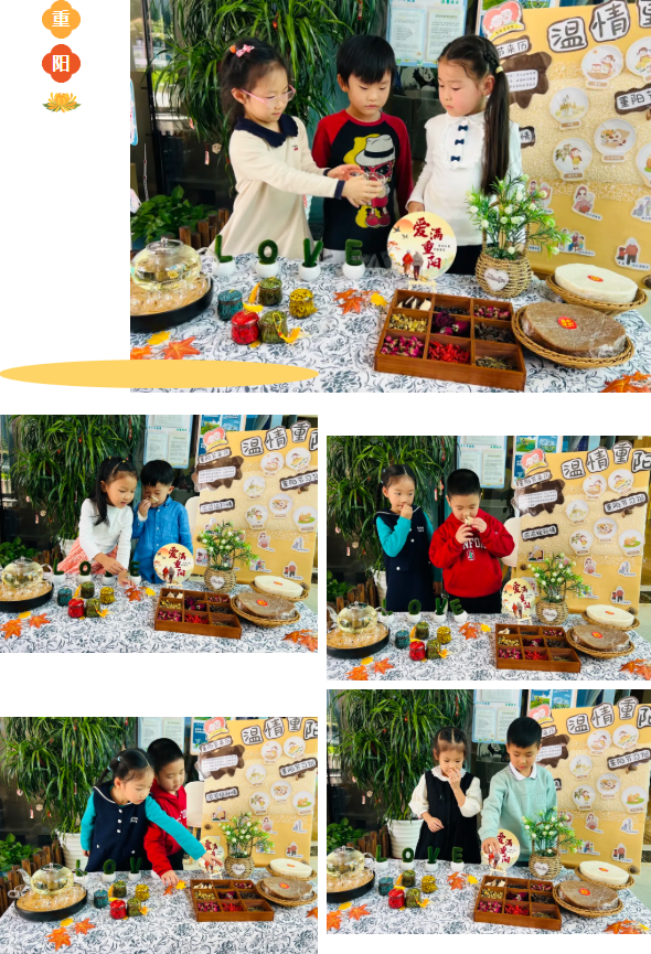 腾博会官网·专业效劳,诚信为本