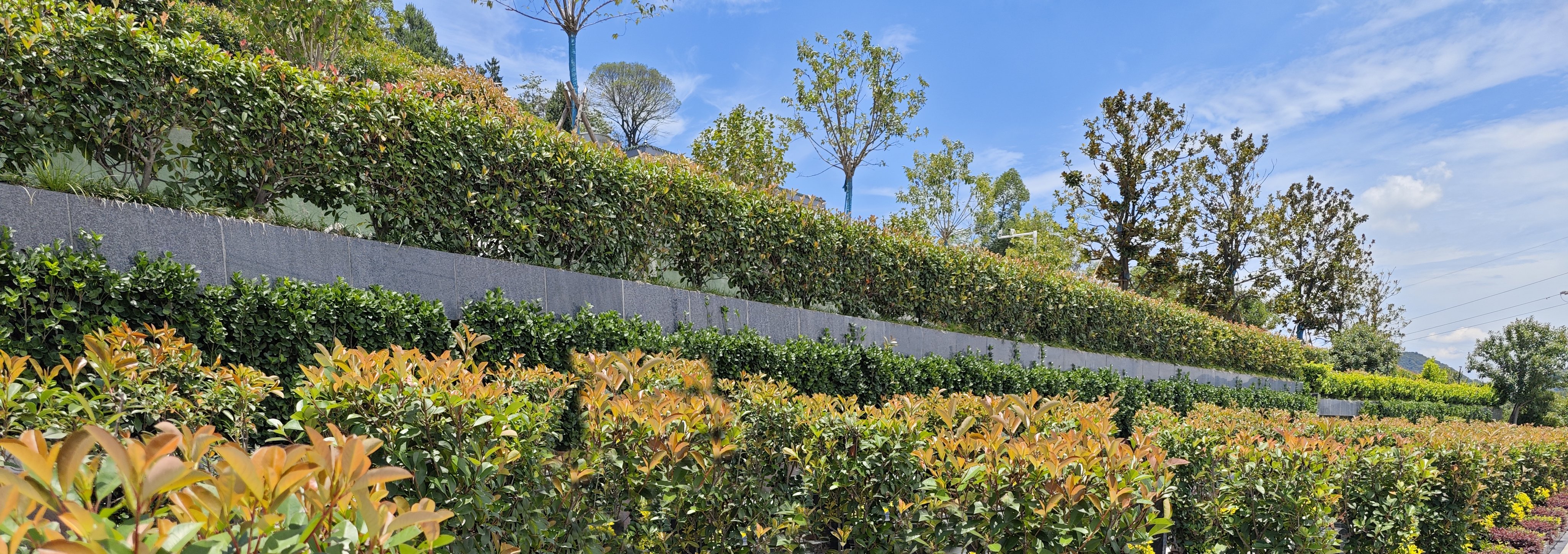 腾博会官网·专业效劳,诚信为本