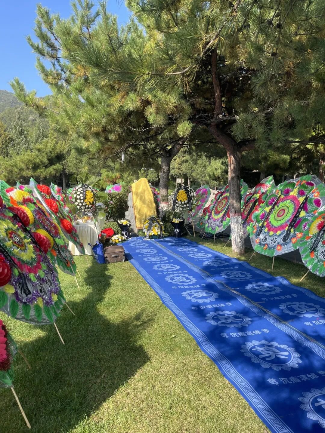 腾博会官网·专业效劳,诚信为本