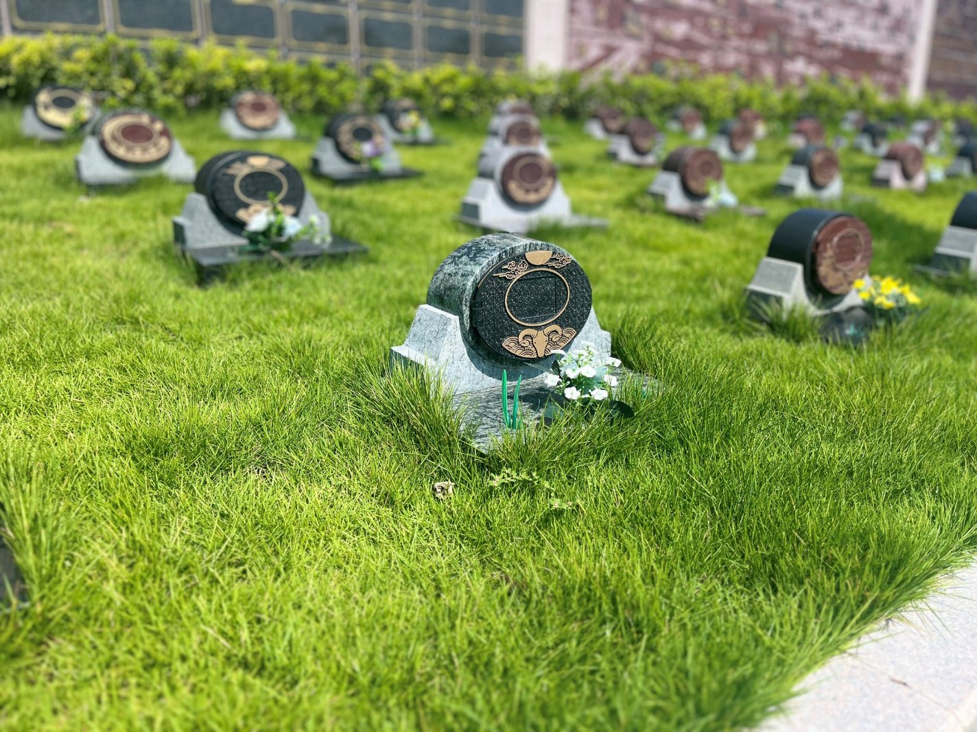 腾博会官网·专业效劳,诚信为本