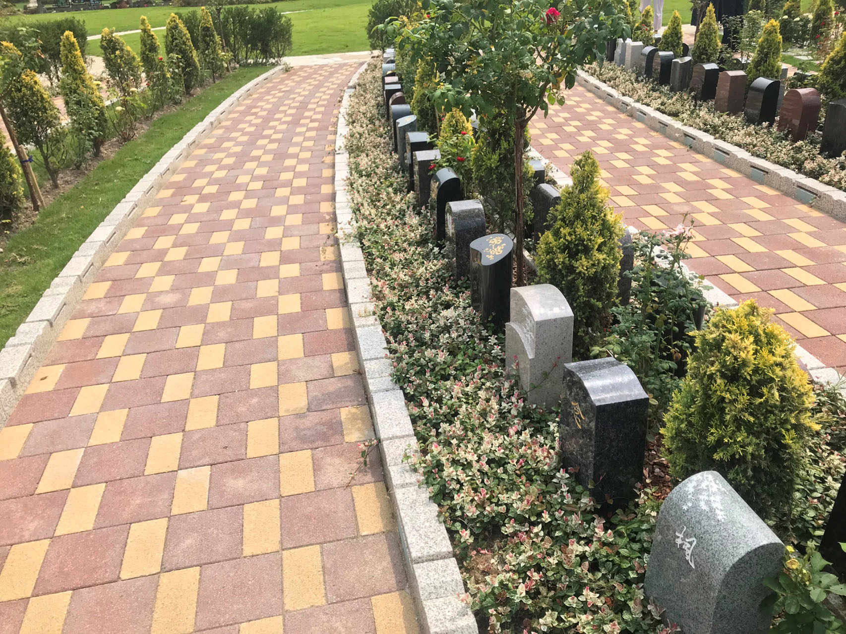 腾博会官网·专业效劳,诚信为本